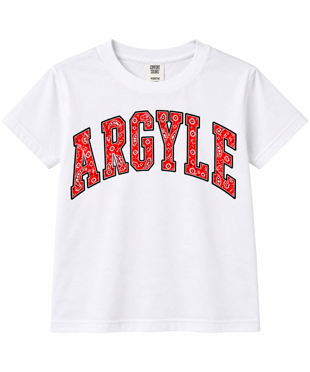 Youth Bandana Paisley Print Argyle Shirt