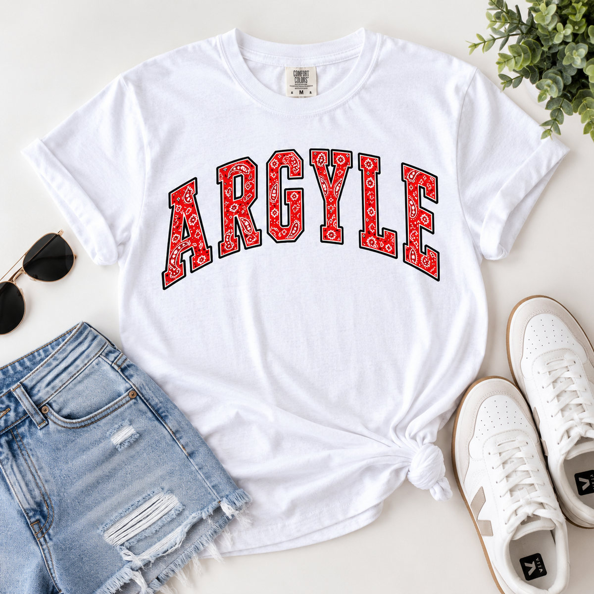 Bandana Paisley Print Argyle Shirt